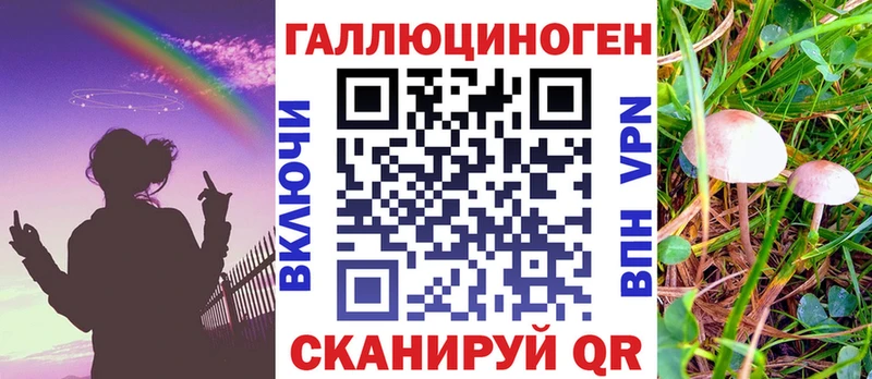Псилоцибиновые грибы GOLDEN TEACHER  купить  сайты  Муром 